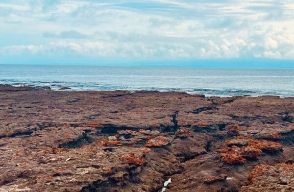 Invast Global offsite immersion on NSW South Coast